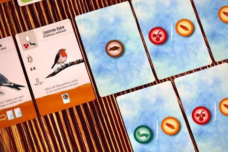 Wingspan Pocket – Ansicht 4